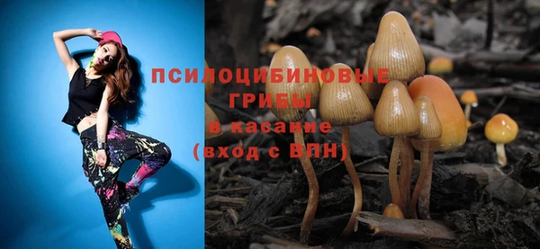 spice Баксан